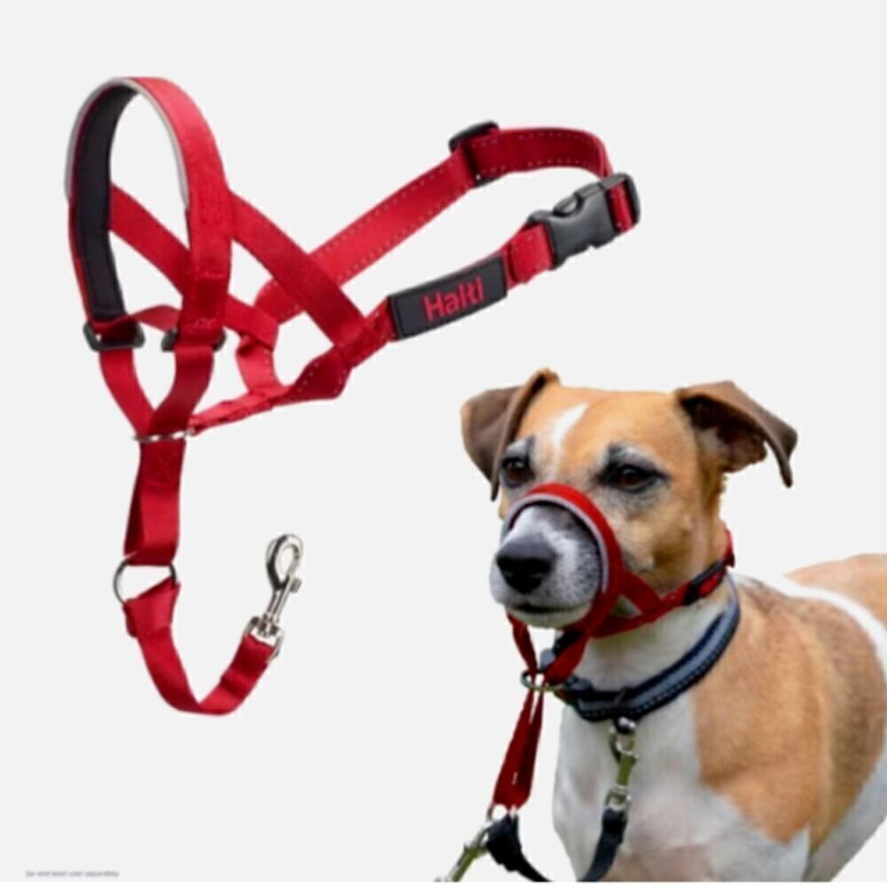 HALTI Headcollar for Dog No. 1 selling No Pulling Stop, Size 1 Adjustable